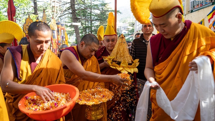 Mönche, die Blumenblätter streuen, gehen voran, während die Buddha-Reliquien die Auffahrt des tibetischen Haupttempels hinaufgetragen werden, um sie Seiner Heiligkeit dem Dalai Lama am 4. April 2024 am Tor zu seiner Residenz in Dharamsala, Indien, anzubieten. Foto: Tenzin Choejor